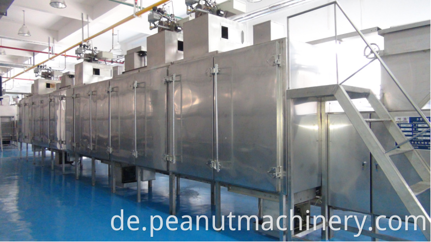 continuous nuts dryer